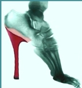 Volver a Fotogaleria.